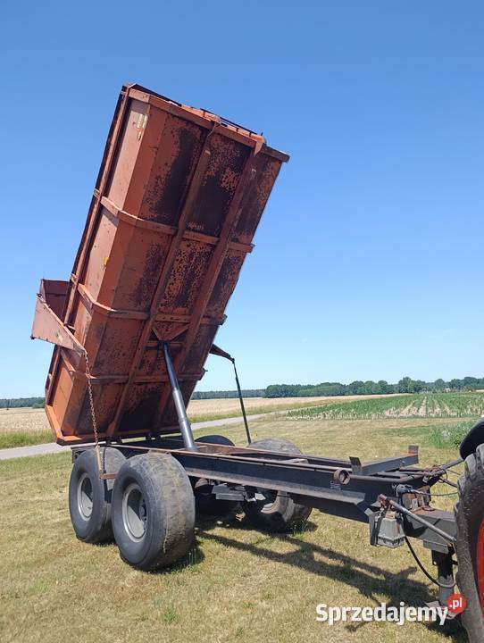 Przyczepa skorupa wywrotka tandem 12 ton Kożuszki