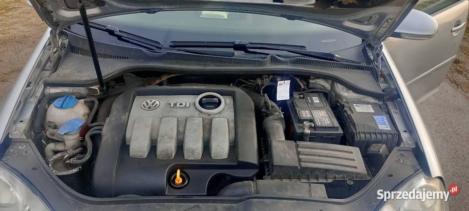 Volkswagen Golf 5 Golf wielkopolskie