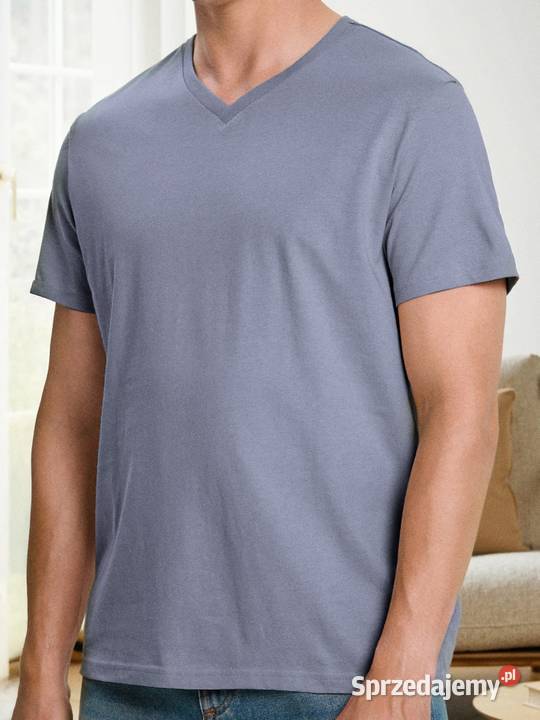 tshirt męski Sinsay L Rozmiar L