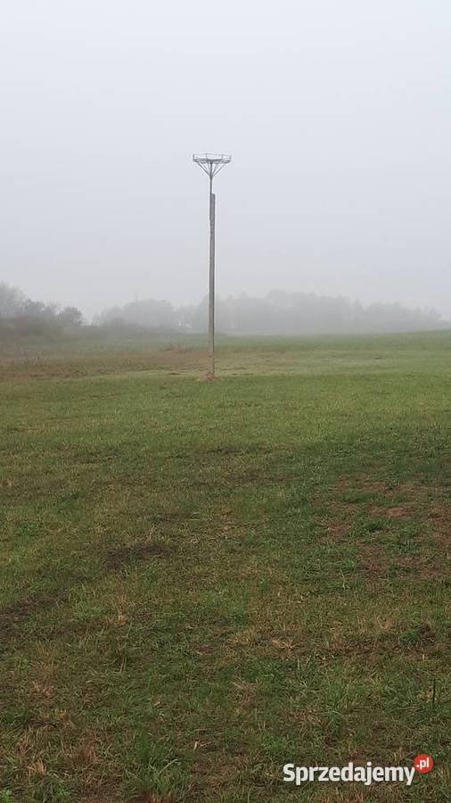 Działka Mazury 3000m2 Sprzedaż Zdory