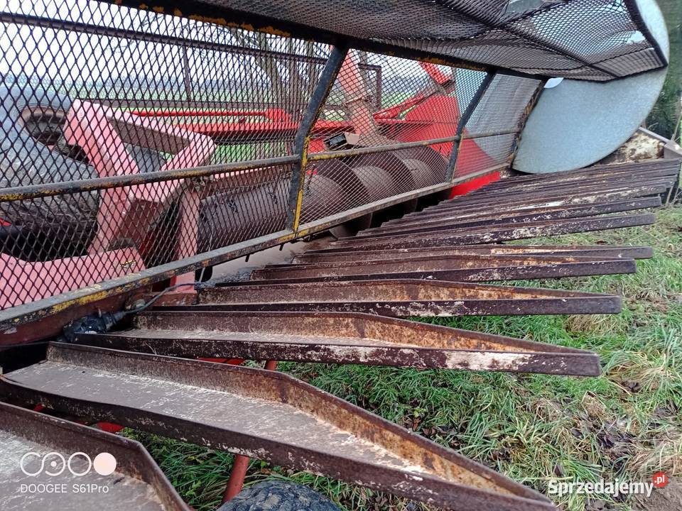 Heder do słonecznika massey ferguson 34 32 36 Lublin