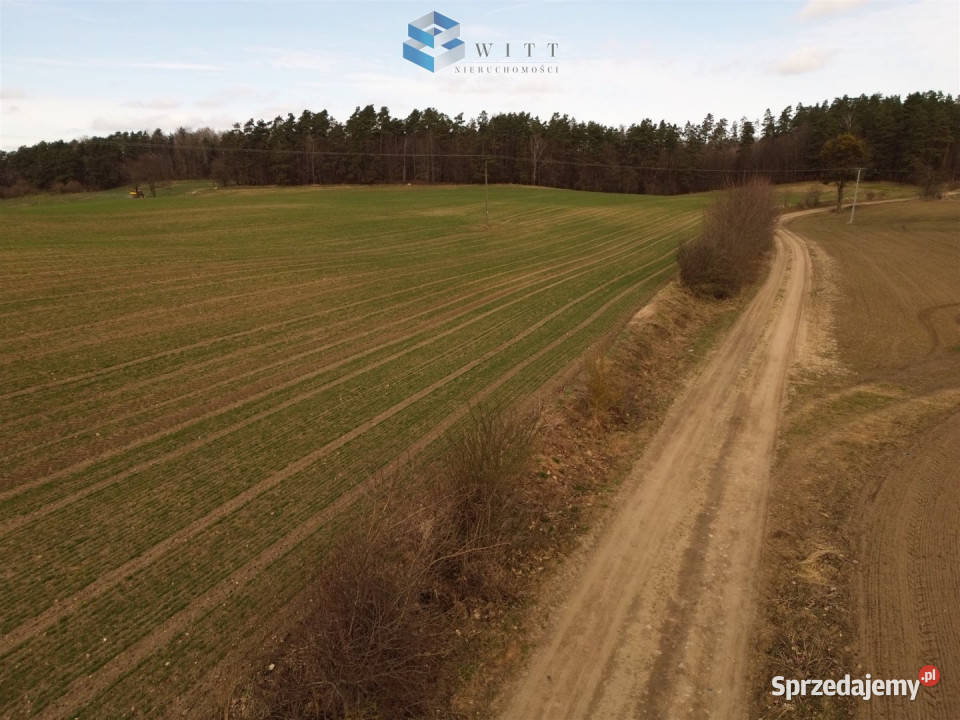 Grunt 257400m2 Rudno rolna