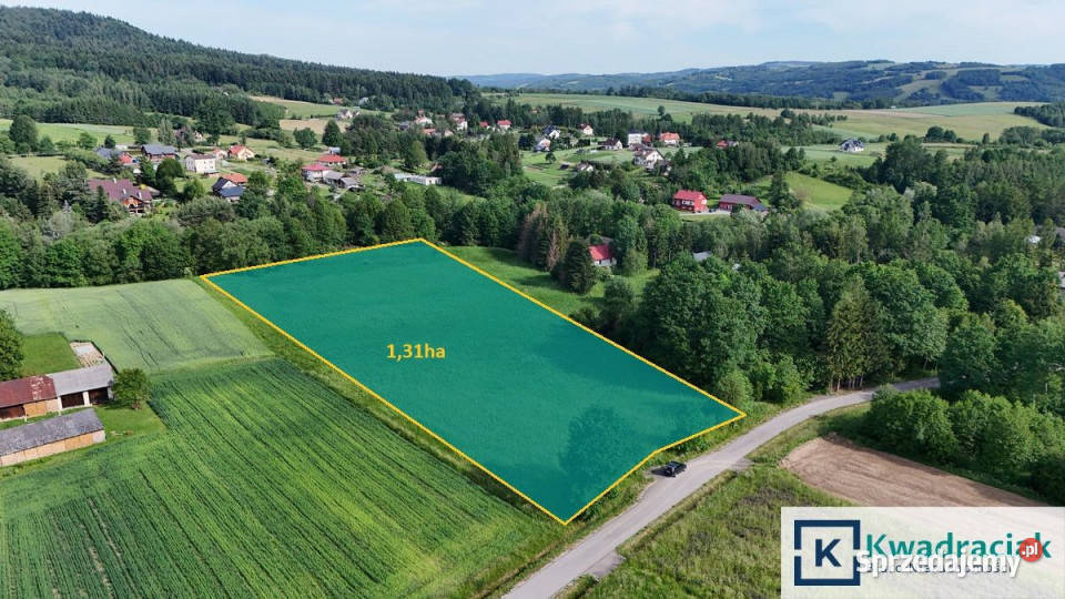 Działka 13100m2 Krasna 13100m2