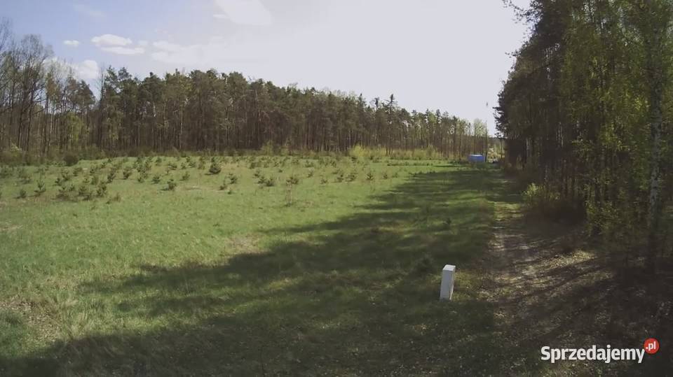 Działka budowlana 1000M2 WZ BRZÓZA