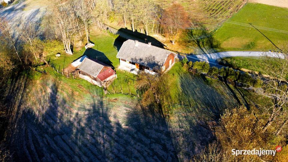Dom w Zborowicach zamienię na mieszkanie 3000m2 Sprzedaż Zborowice