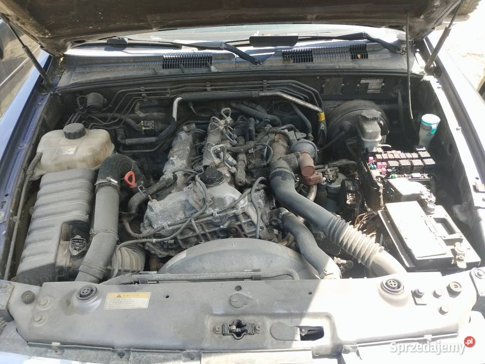 Ssang Yong rexton fioletowy Lublin