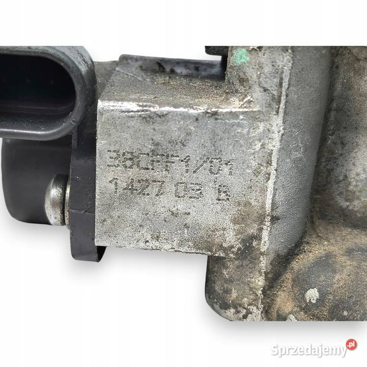 PRZEPUSTNICA Peugeot 206 106 Citroen Saxo C3 11 Chełm