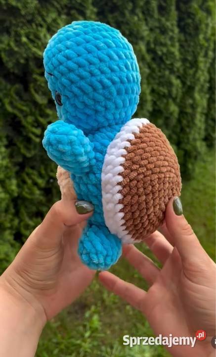 Pokmon Squirtal Plewiska