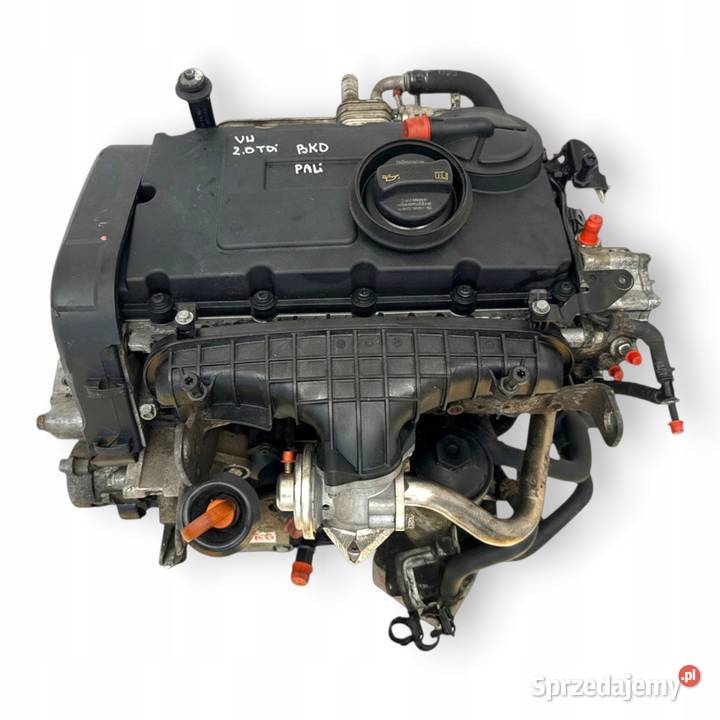 SILNIK BKD VW Golf V Jetta III Touran Skoda lubelskie Chełm sprzedam