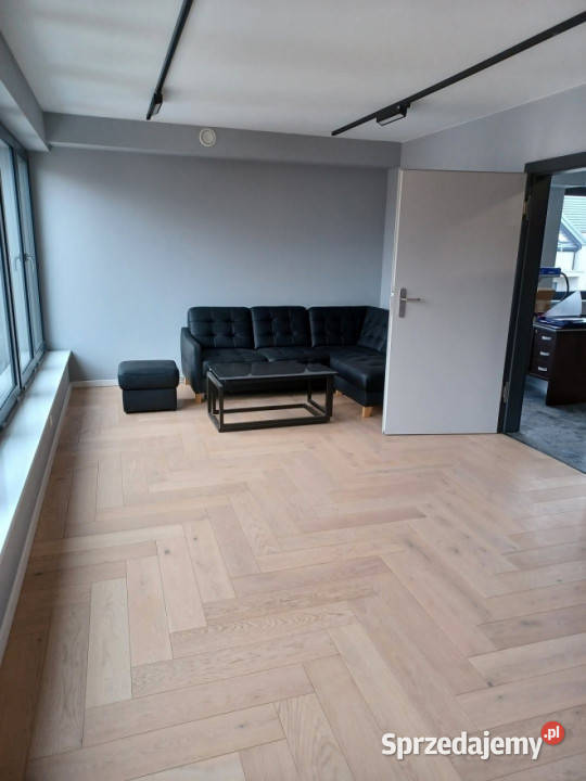 Lokal 65051 metrów Kielce