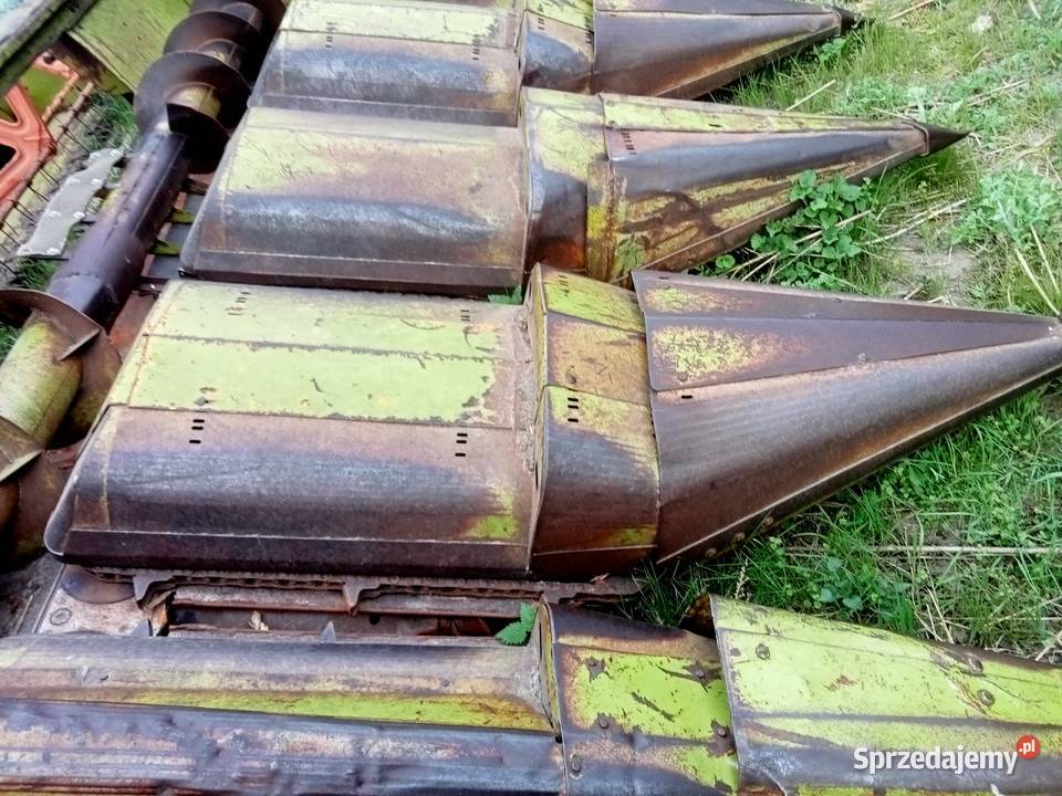 Sprzedam przystawka do kukurydzy claas bizon Rychwał