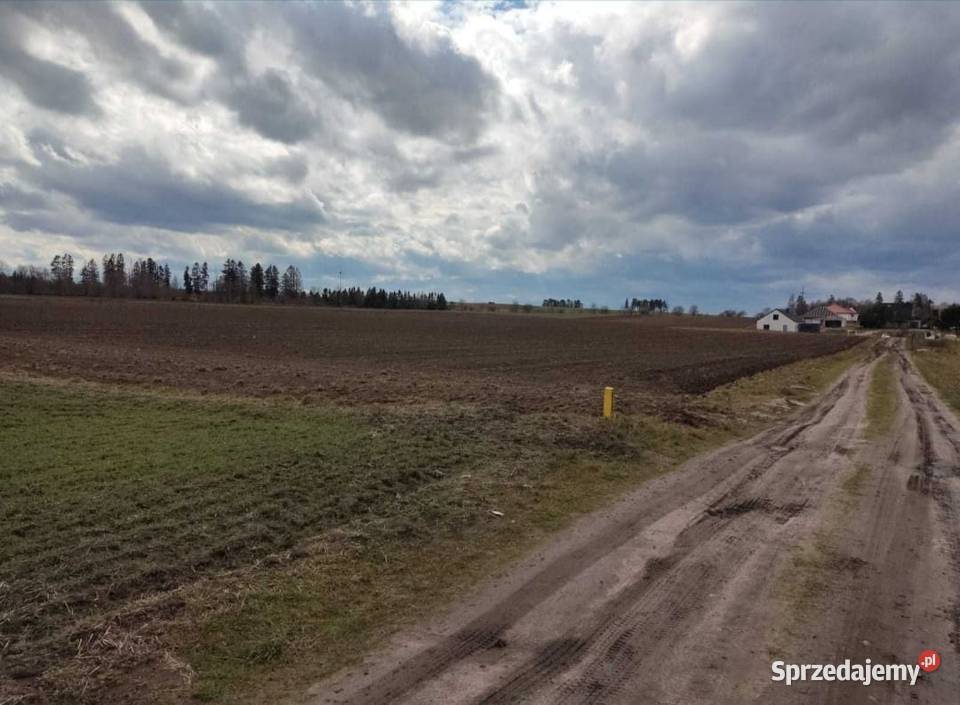 Sprzedam działki budowlane Sprzedaż Kołczygłowy