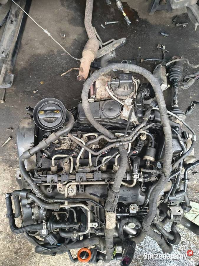 Silnik 20 TDI CBAB Pinczyn