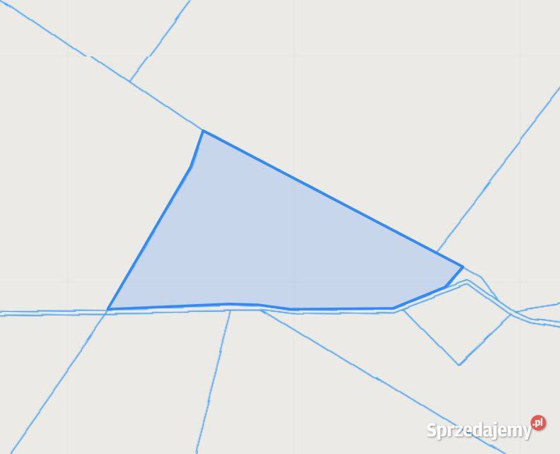 Syndyk sprzeda działkę rolna Sprzedaż wielkopolskie sprzedam