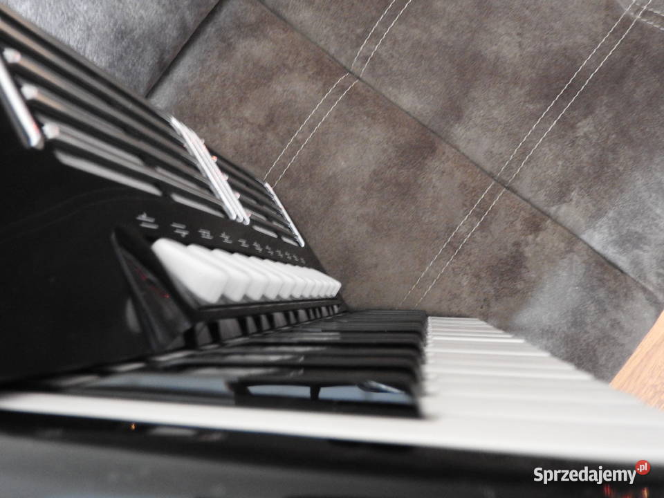 Akordeon HOHNER PACIFIC IVT Instrumenty klawiszowe i MIDI Nysa sprzedam
