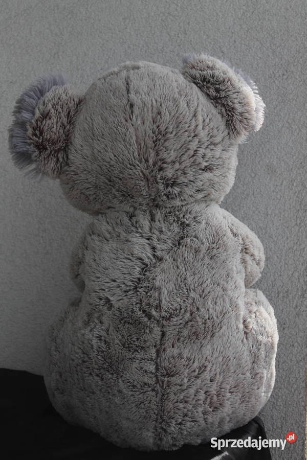 Duża Koala z eukaliptusem Maskotka Pluszak śląskie Katowice