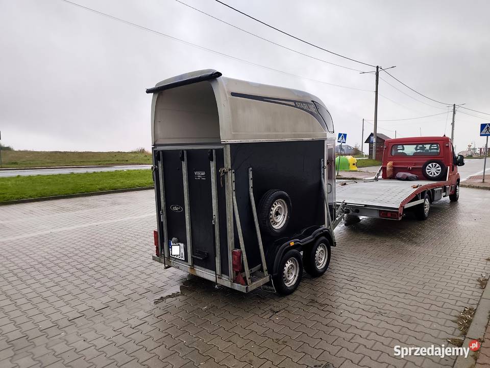 Przyczepa do Koni ATEC DMC 1200 KAT B