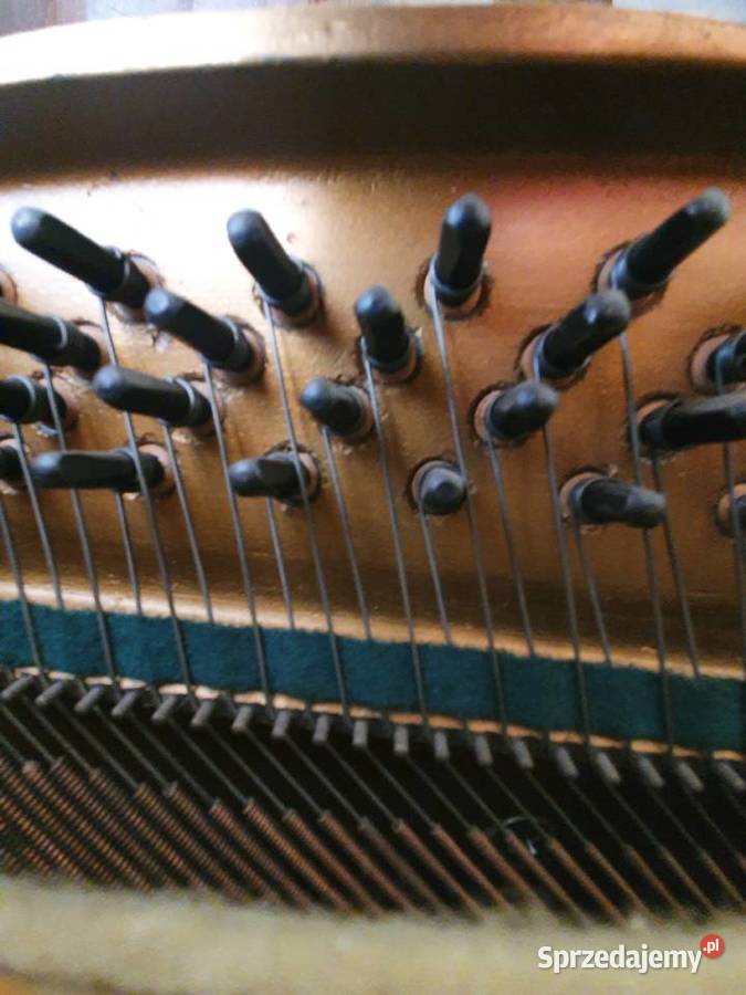 Pianino Nocturne Bydgoszcz