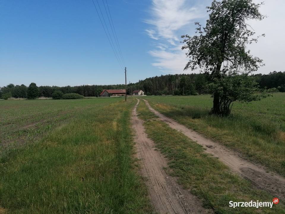 grunt inwestycyjny pod Nowym Tomyślem Nowy Tomyśl