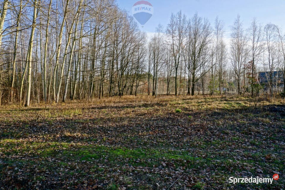 Działka budowlana 1002m2 Grądy k Żyrardowa Sprzedaż mazowieckie sprzedam