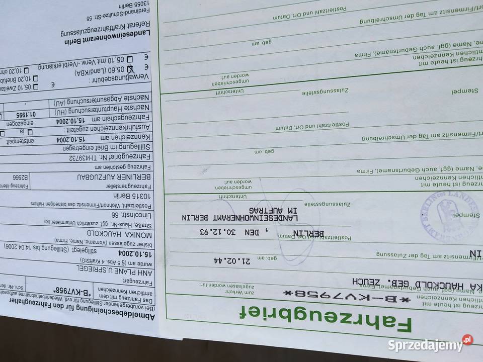 Przyczepka lekka DMC 500 Reda