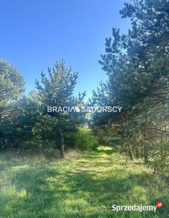 sprzedaży gruntu Rokitno Szlacheckie 6008m2