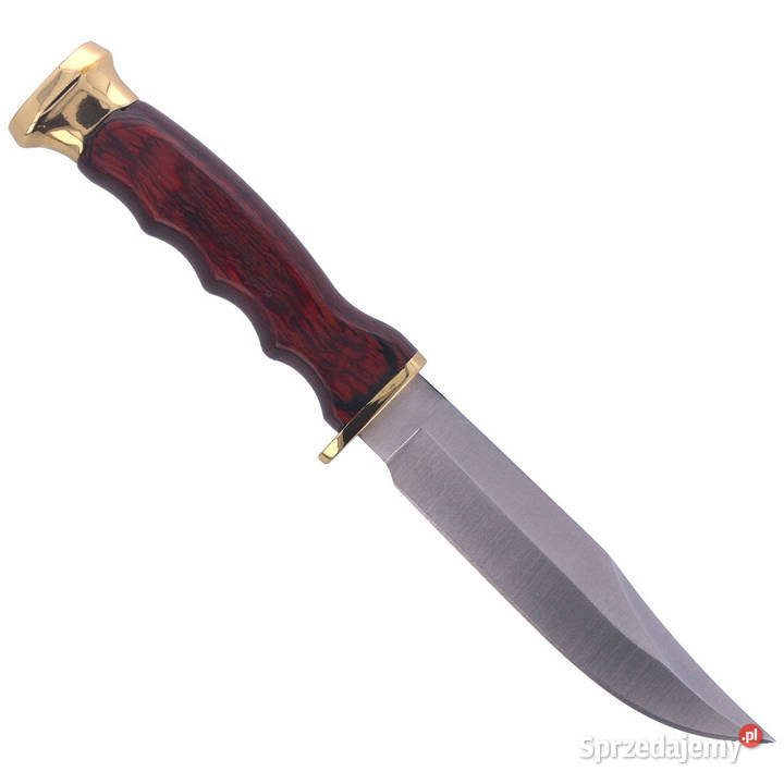 Nóż Muela BWF10 Pakka Wood Stain X50CrMoV15 mazowieckie Warszawa