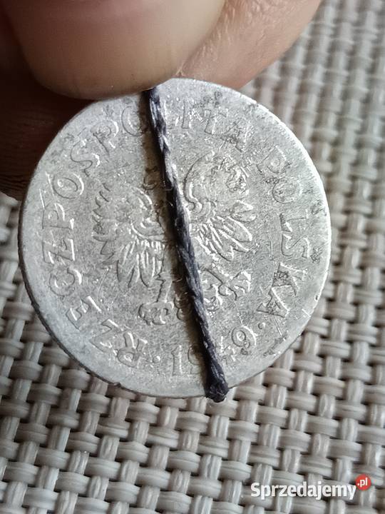 Sprzedam 50 gr 1949 r ccz Chełm