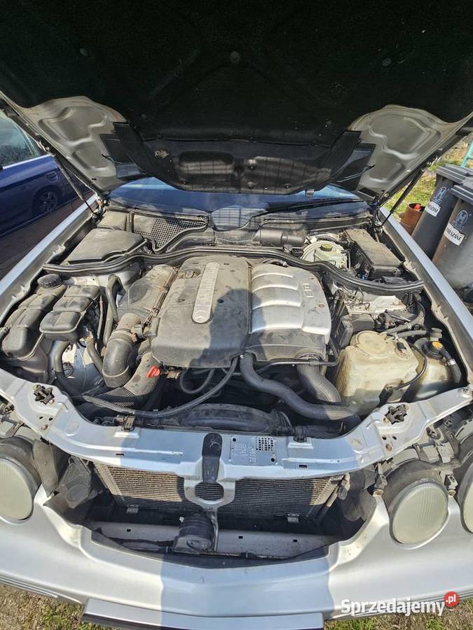 Sprzedam Rypin sprzedam