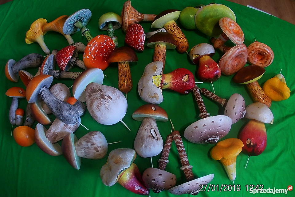 Grzyby styropianowe śląskie Górki Wielkie