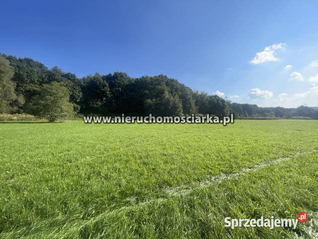 Działka 2780m2 Syrynia