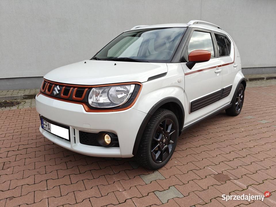 1290PEŁEN SERWIS DO KOŃCACZUJNIK Ignis