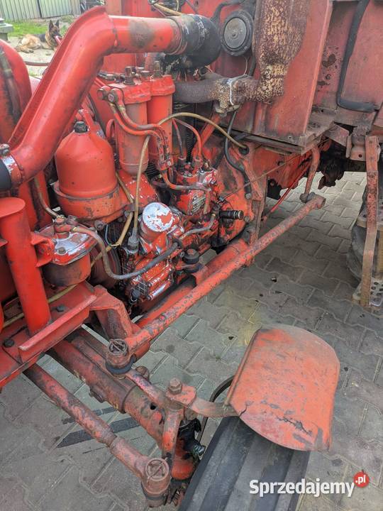 T25