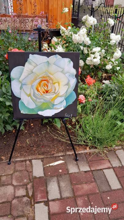 Piękne autorskie obrazy olejne na płótnie Brwinów