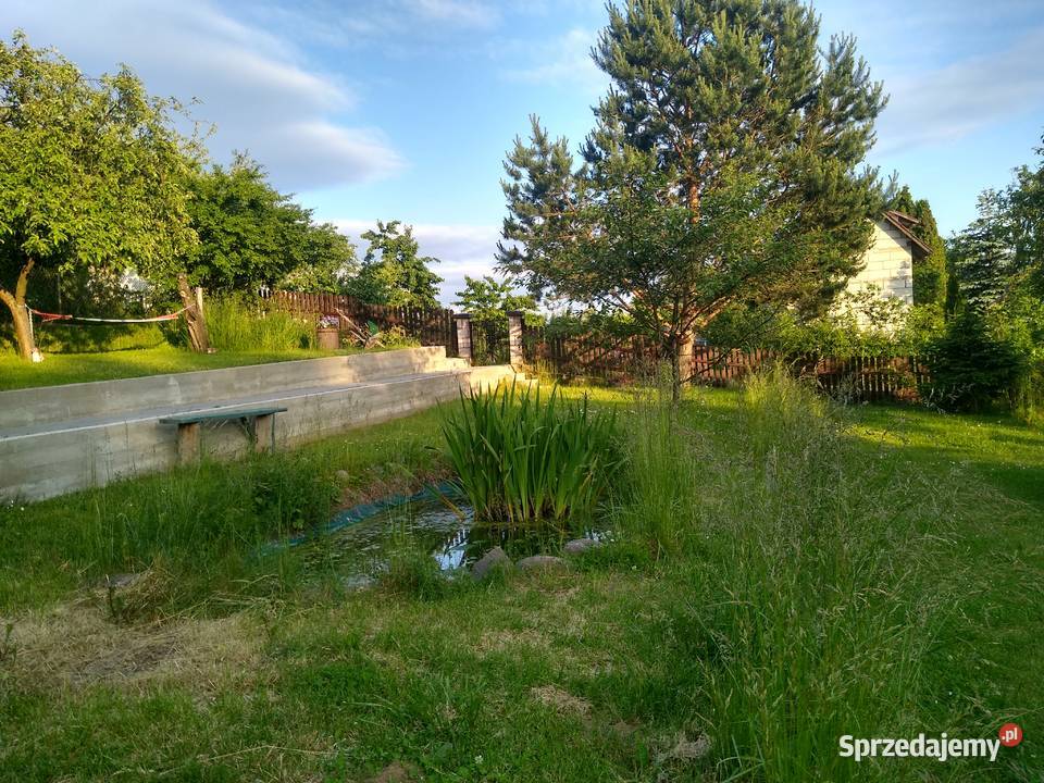 Sprzedam działkę ogrodową Rod Borówka Suwałki sprzedam