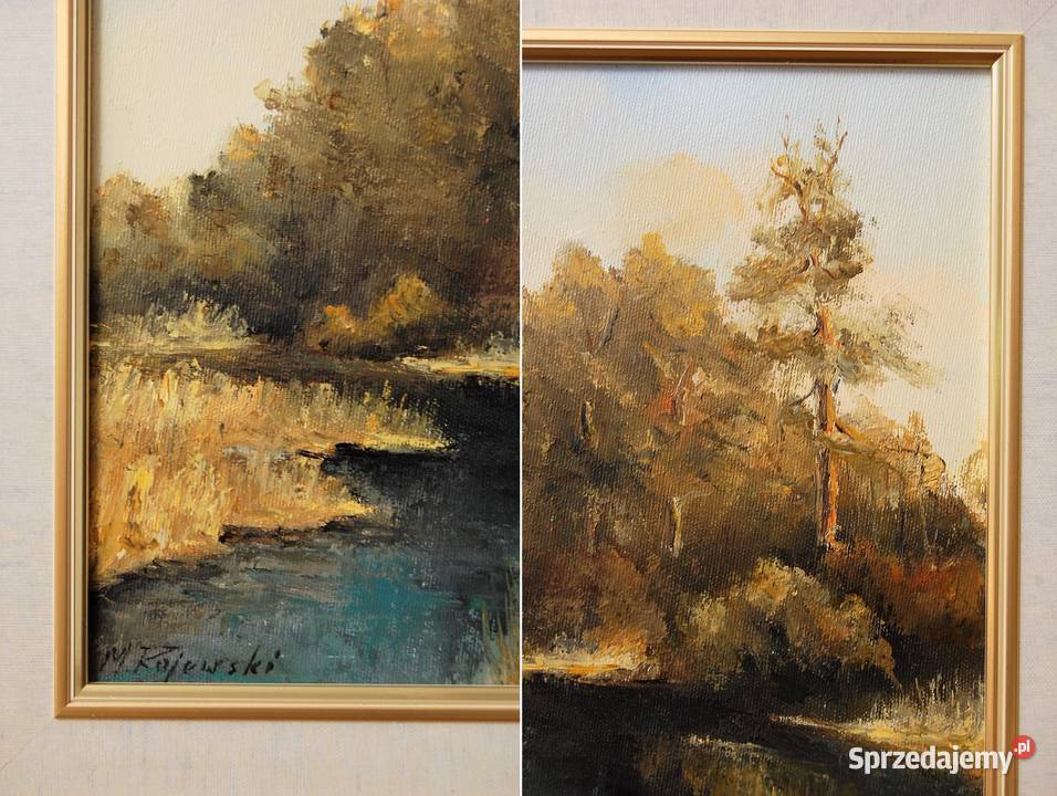 Pejzaż las rzeka obraz olejny malowany M wielokolorowy Dekoracje i ozdoby Lublin