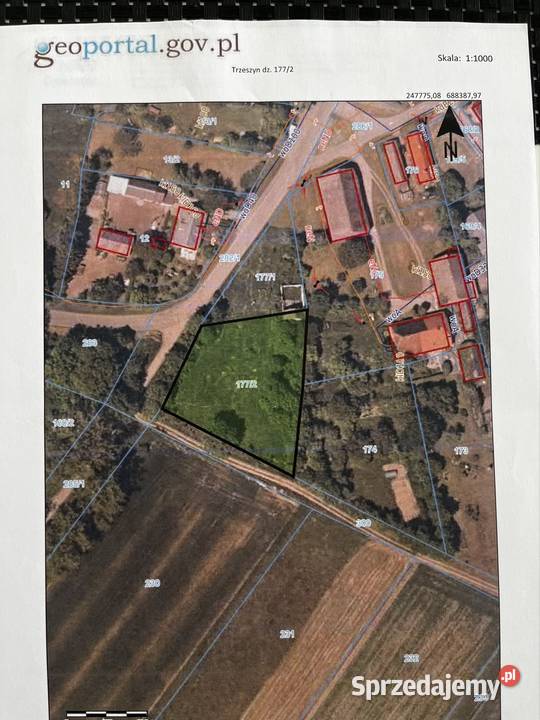 Sprzedam działki z warunkami zabudowy Nieruchomości Trzeszyn