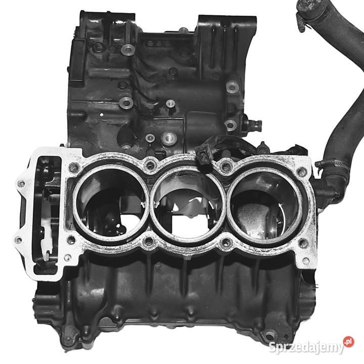 Obudowa Silnika Kartery Triumph Tiger 955i