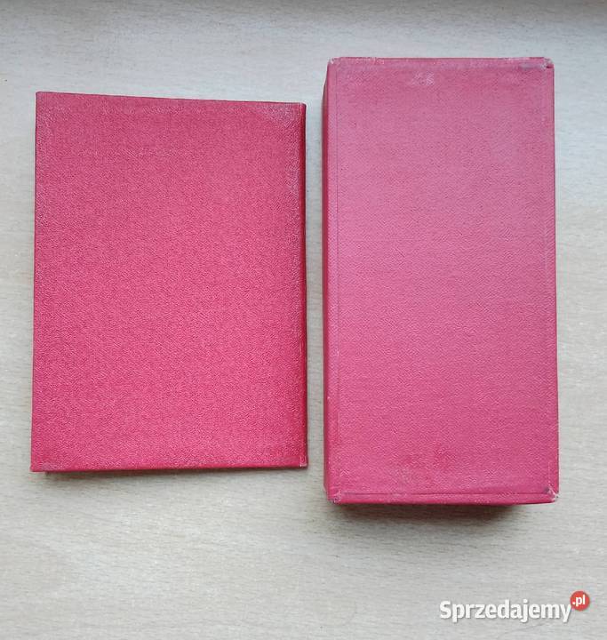 Medal i odznaka MSW Nakło nad Notecią