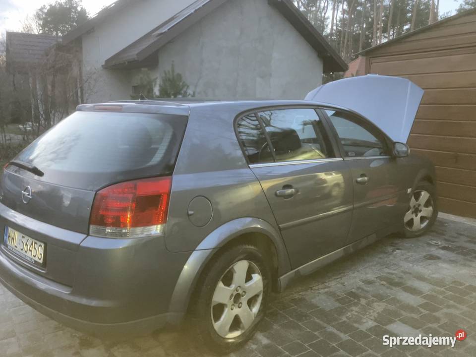 Opel Signum 18 2004r