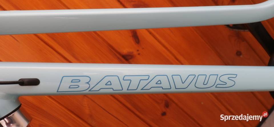 Rower damski Batavus Dins Dag D 48 inne rowery Milanówek