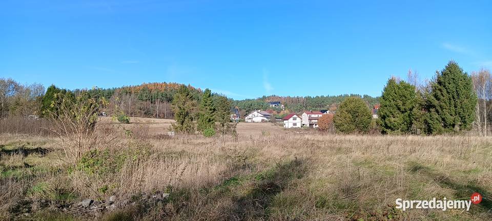 4 działki z MPZP w Koleczkowie Sprzedaż Koleczkowo