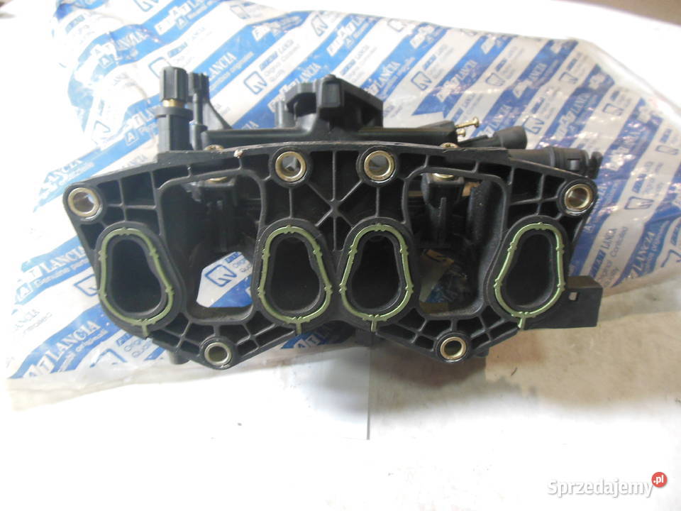 KOLEKTOR SSĄCY 12 8V PUNTO 2 PANDA PALIO YPSILON Kozy