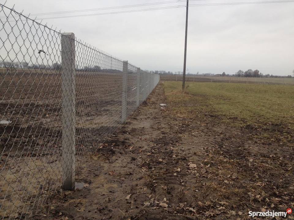 Sprzedam słupki betonowe ogrodzeniowe PRODUCENT Białośliwie