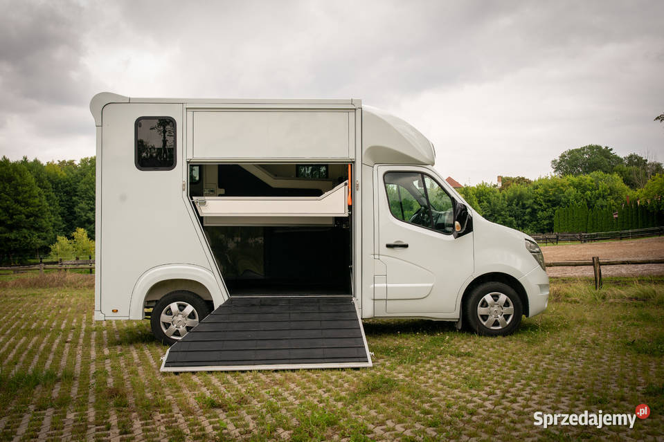 Nissan NV400 KONIOWÓZ Samochód do przewozu koni Rokietnica