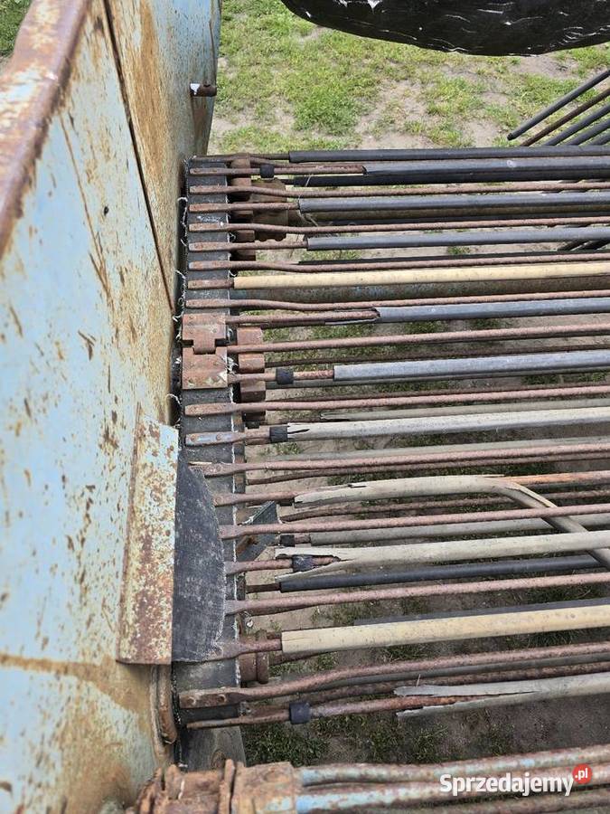 Kopaczka do ziemniakow elewatorowa dwurzedowa Mogilno