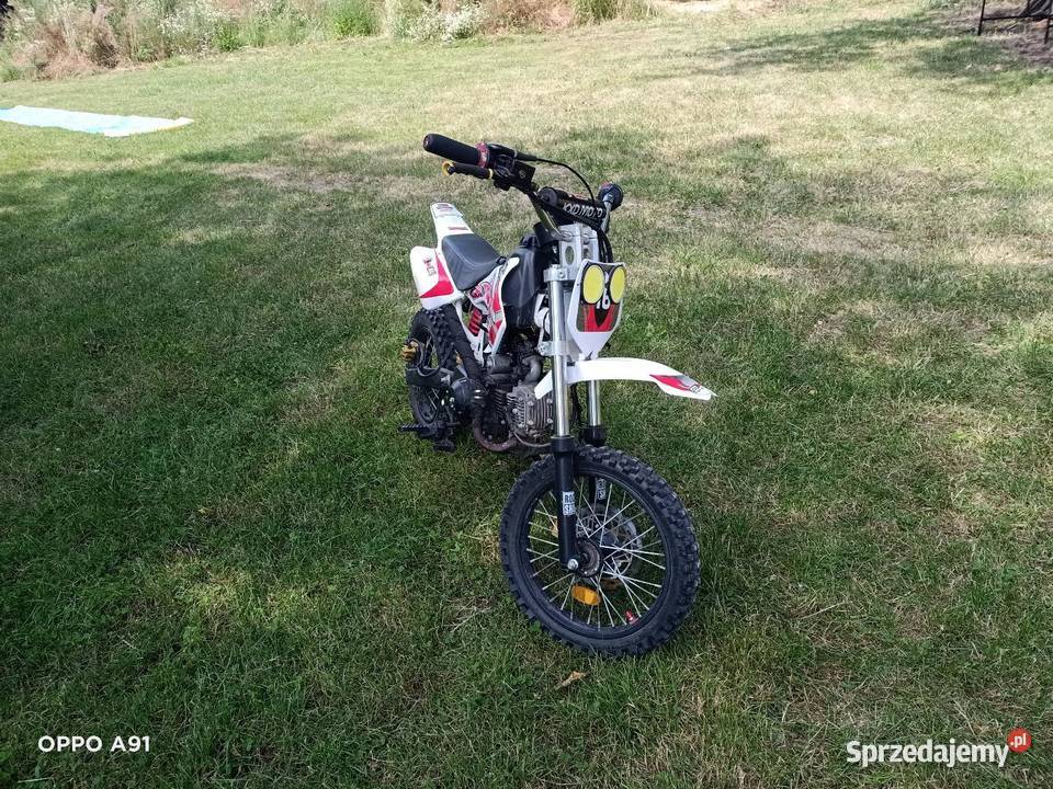 Cross 125 CCM automat Markowola