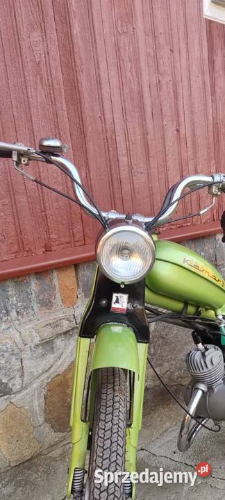 Komar podkarpackie Iwonicz-Zdrój