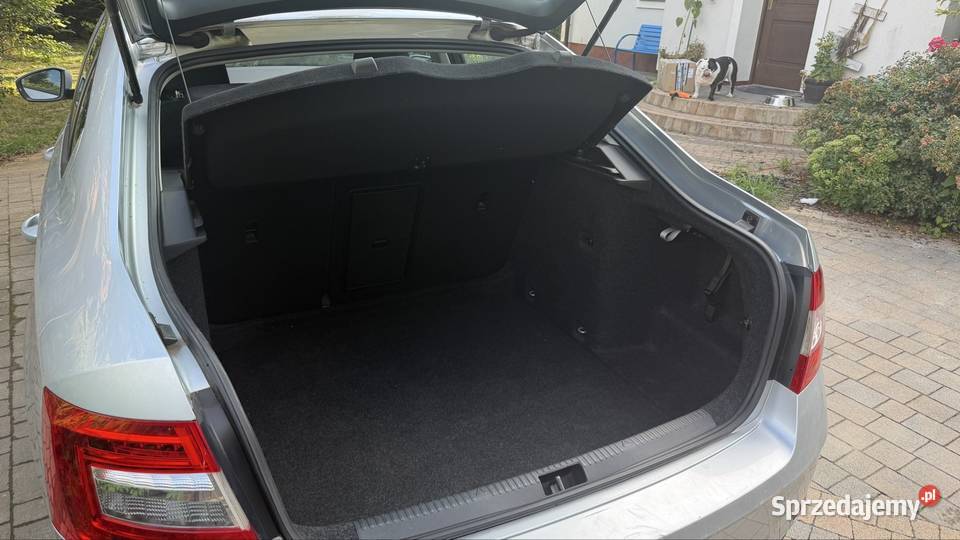 Skoda octavia dolnośląskie Chrząstawa Mała