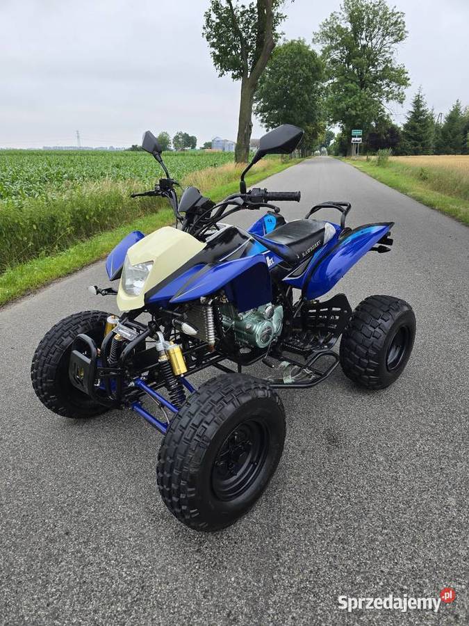 Quad Bashan Bs250cc Duża Rama Ciecz Kat B Kruszwica